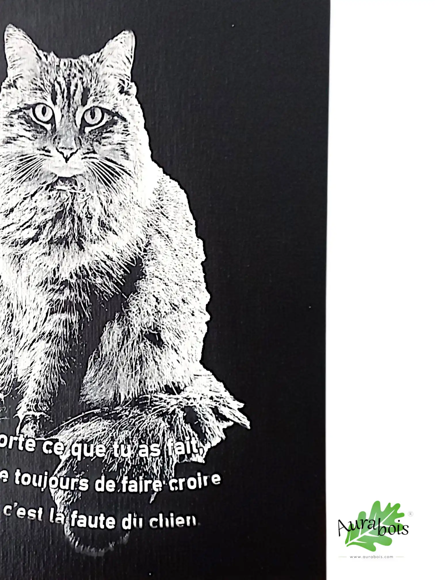Peinture sur toile 30 x 40 personnalisable avec photo ou image gravée au laser 2 Toile personnalisée avec photo gravée au laser en noir et blanc