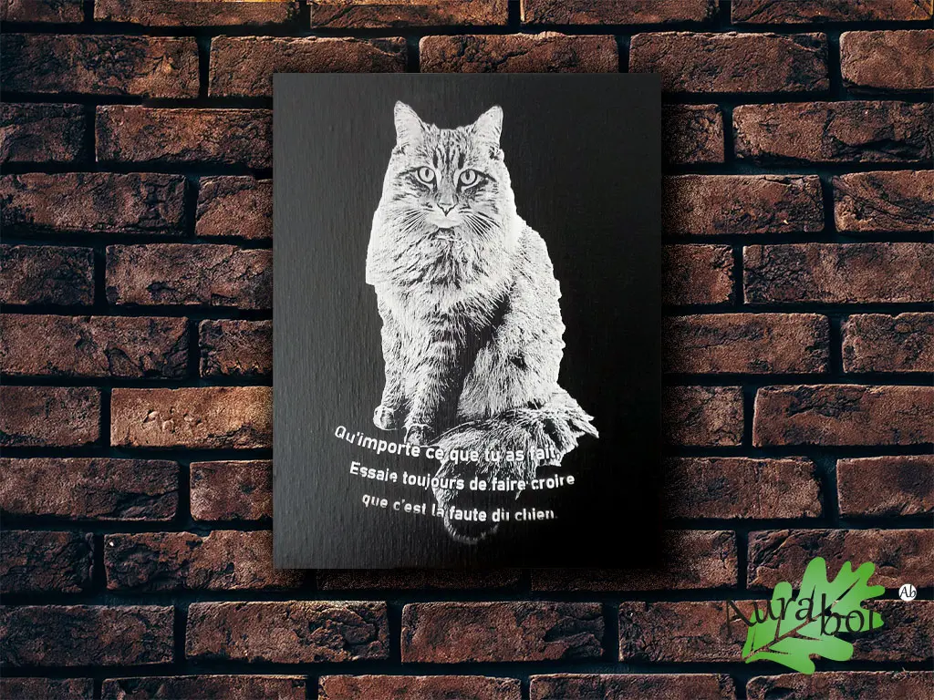 Peinture sur toile 30 x 40 personnalisable avec photo ou image gravée au laser 3 Toile personnalisée avec photo gravée au laser en noir et blanc